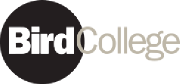 Vector Smart Object (6)